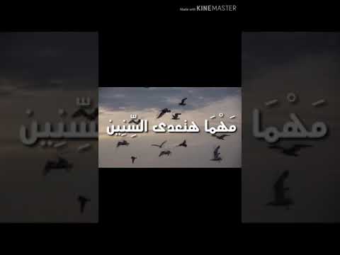 قالو الجمال حسين الجسمي