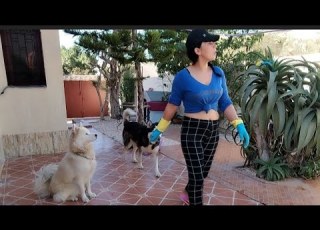 Video Du Jour Jardinage