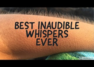  4 HOURS Of The BEST Inaudible Unintelligible Whispers Of 2024 ASMR Chess Risk Gameplay