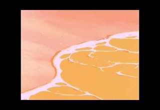 KAOMA Dancando Lambada Slowed Reverb