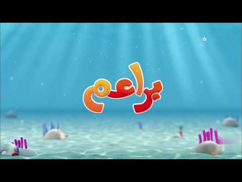 Baraem Qatar Continuity February 14 2026