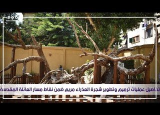 تفاصيل عمليات ترميم وتطوير شجرة العذراء مريم ضمن نقاط مسار العائلة المقدسة