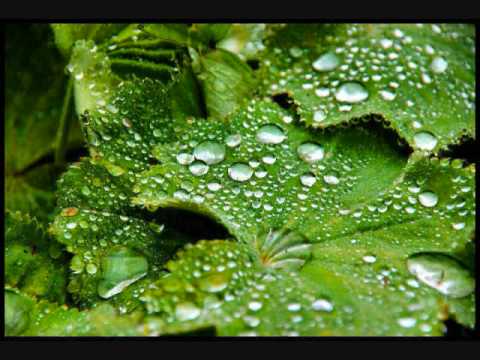 Frédéric Chopin S Raindrop Prelude Op 28 No 15