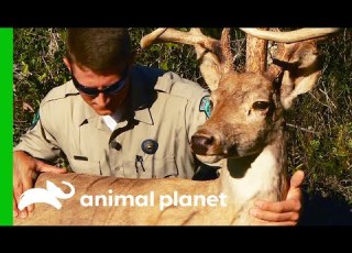 Game Wardens Plant Decoy To Catch Poachers Lone Star Law