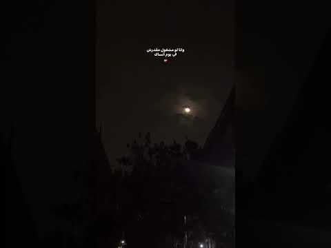 يااه دنا دايما اقول ياحبيبي ياريتني معاك عامر منيب عامر منيب حالات واتس