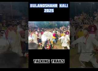 Rudra Roop Bulandshahr Kali 2025 Trending Bulandshahr Kali2025 Kali Bulandshahrkali Shorts
