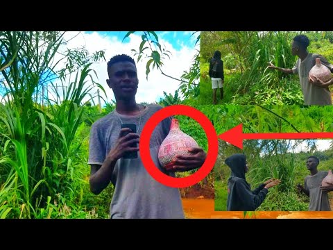 Wameanza Kutuma VIJANA JINI Kumzubaisha Bosco Ili Waichukue Nyungu La Majina Hii POT Iko Na Nini