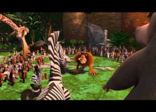  Madagascar 1 Alex Marty S NatGeo