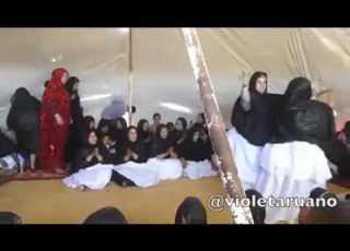  صحراوي على نغمات وزن الجاگوار