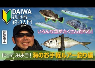  DAIWA 初心者釣り入門 渡邉長士のやってみよう 海のお手軽ルアー釣り編