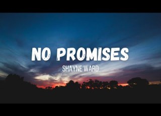 Shayne Ward No Promises Instrumental Lyrics