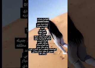 خطابه زواج مسيار السعودية محمد بن سلمان