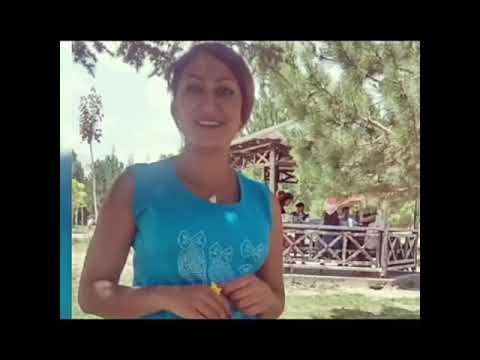 رودرو دیوار این شهر همش از تو یادگاره Ro Daro Divar In Shahr