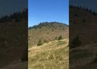 Cum Pasc Oile In Muntii Ciucas Pe Culmea Gropsoarele Mountains Nature Muntiicarpati Oi