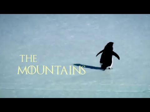 Depressed PENGUIN Romanticizing The Wrong Direction Others Survived He Lived