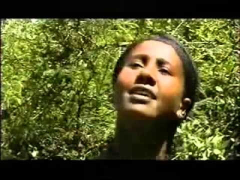 Manalemosh Dibo Dimamsew