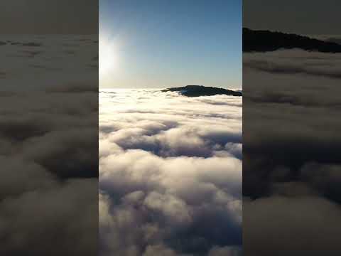 تعبان يازماني اكسبلور Comedy ابراهيم ابوالبنات ترند دويتو