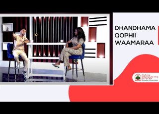 Dhandhama Qophii Waamaraa