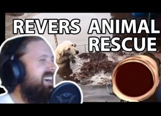 Forsen Reacts To Reverse Animal Rescue Compilation