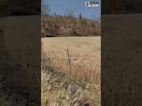 21 Pa Mwedzi Gwa Wudatu 2026