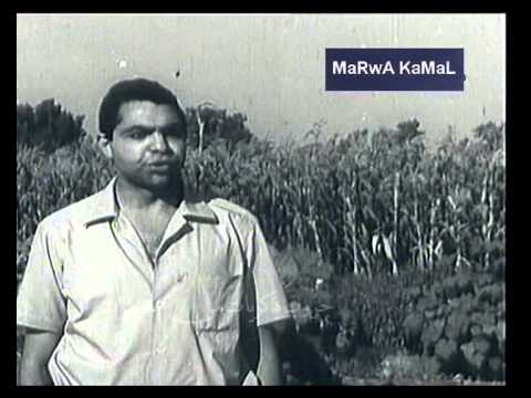 يارب بلدى وحبايبى والمجتمع والناس سمير الاسكندرانى تصوير نادر