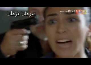  شيلات الفريق الأول