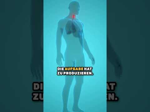 Deine Schilddrüsenwerte Sind Im Normbereich Aber Die Beschwerden Bleiben Es Könnte An Einer