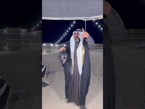 قلبه شجاع وقدر على الذيب اكسبلور الكويت ترند