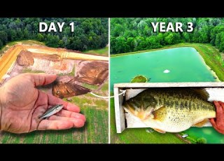 We Added Bass To The 5 Acre Pond 3 Years Ago Surprising Results
