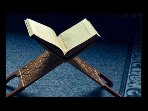 سورة غافر أحمد العبيدي