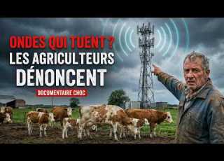 Agriculteurs Sous Tension Une Omerta Française
