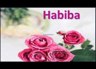 اسم حبيبة بالعربي و اليزي مزخرف روووووعة