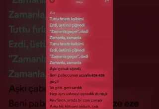 Gökçe Tuttu Fırlattı şarkı Sözleri Speed Up