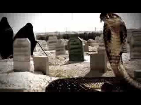 ثعبان في قبر الميت