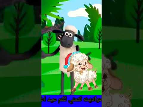 خروف العيد ماء ماء