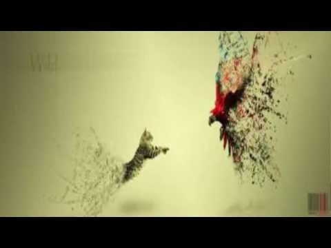 شيله مرحبا مليون ونور فلاج الظلام بطيء