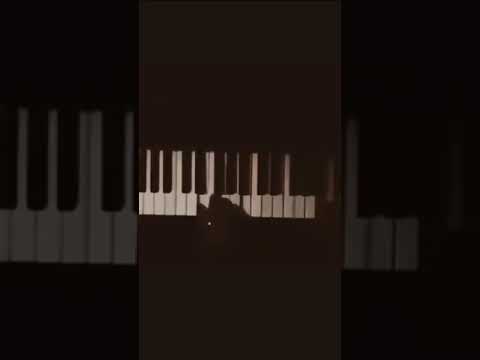 موسيقى غريبة الناس وائل جسار