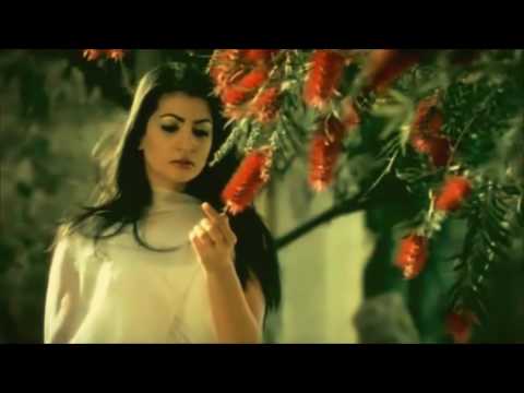 بشار السرحان حسب علمي تحبيني