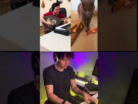 Luga Luga Cat TikTok Chain But Its Actually Good Lol