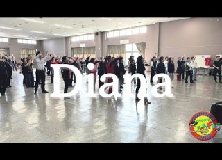DIANA Line Dance NAGOYA CRAZY FEET ダイアナ ラインダンス 名古屋クレージーフィート
