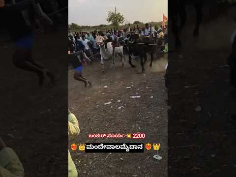 ಮ ದ ವ ಲ ಮ ದ ನ ತ ರ ಬ ಡ ಯ ಎತ ತ ಗಳ Viralshort Folkjanapada Folkjanapada Trendingshorts