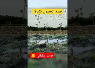 طريقة جد سهلة لصيد اون في بركة ماء