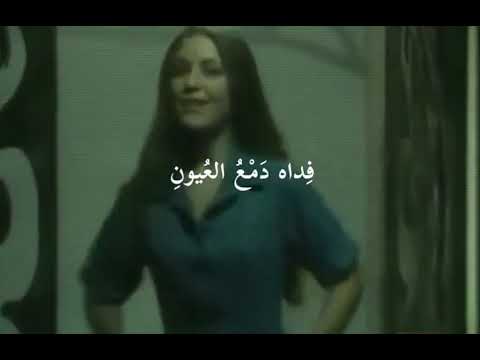 ت راه يهو ى جمالي فاديا طنب