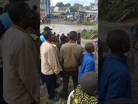 Hapa Hadi Ng Ombe Ulibebwa