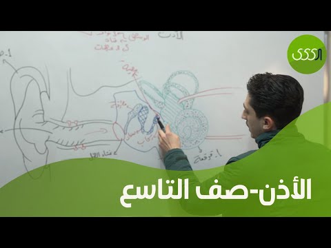 علوم التاسع الأذن دورة 2025