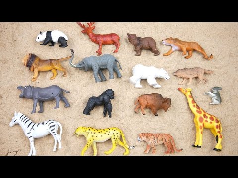 Lion Elephant Cheetah Giraffe Bear Tiger Zebra Wolf Zoo Animals Toy Wild Animals For Kids