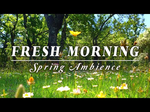 Begin Your Day With The POSITIVE ENERGY Of Healing Spring Sounds Fresh Morning Ambience Meditation