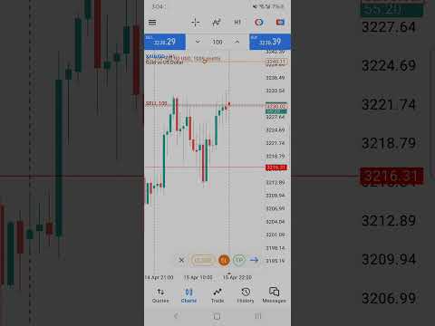 Gold Trade 100 Lot Size