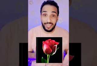 ما قصه الورد الاسود فى تركيا