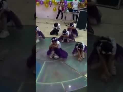 استعراض مساء الفل